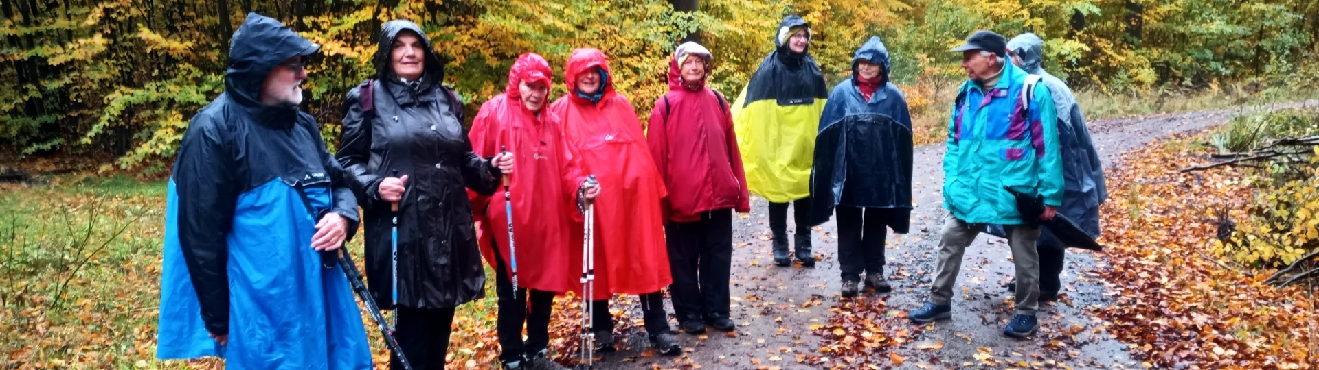 Samstagswandergruppe im Steinberg/Deister Oktober 2025 | zur Startseite
