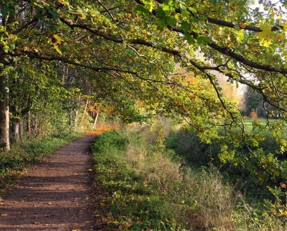 Fastenwandern Deutschland