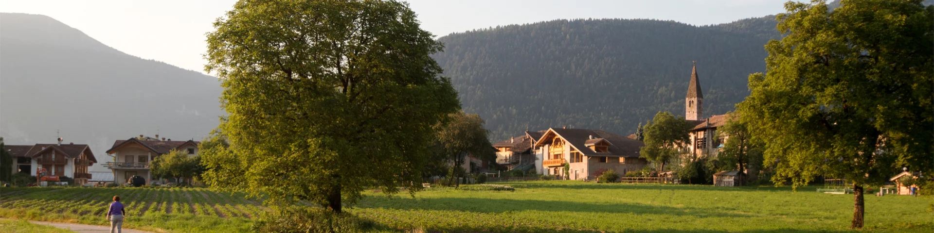 Bannerbild
