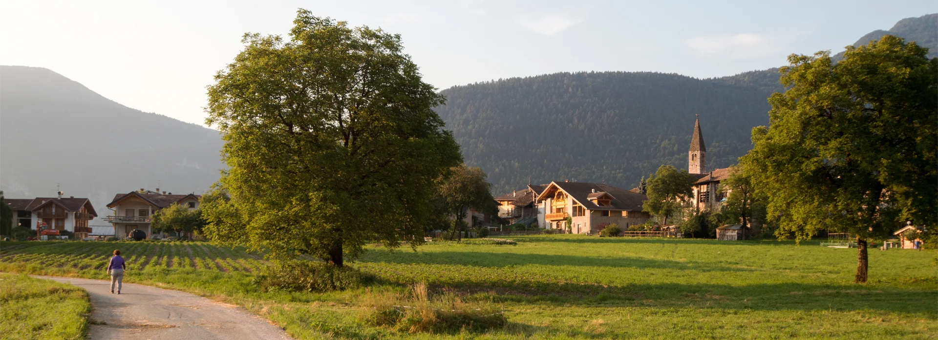 Bannerbild