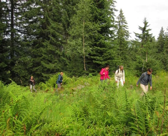 Fasten Wandern