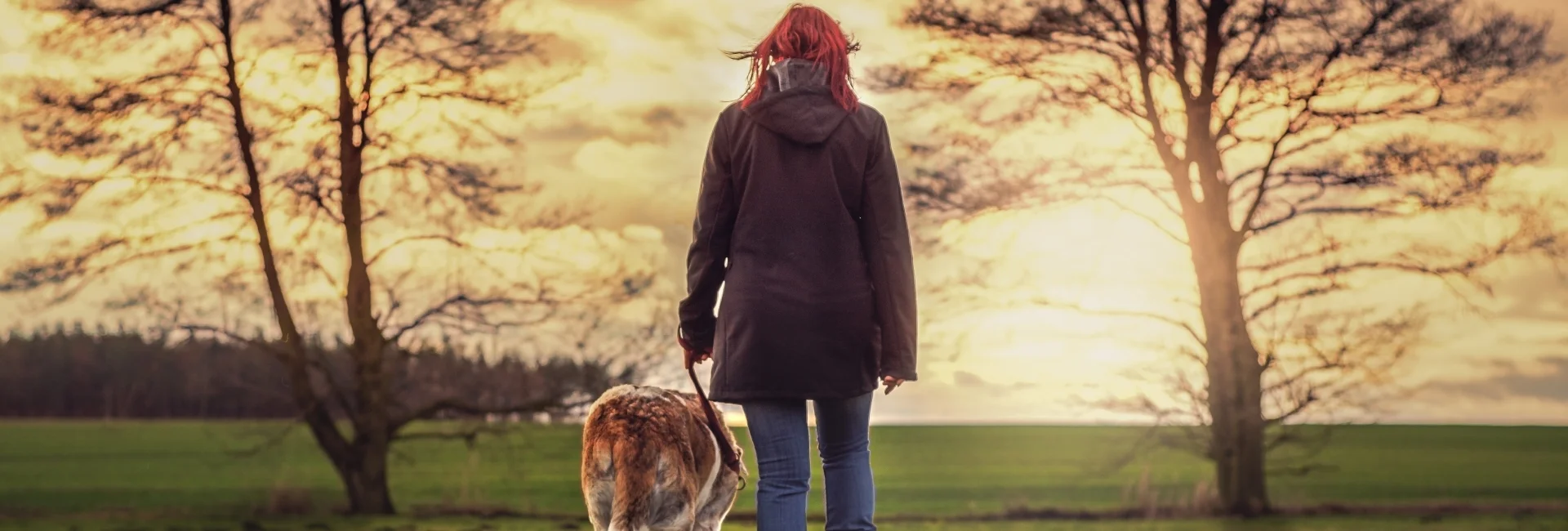Bannerbild