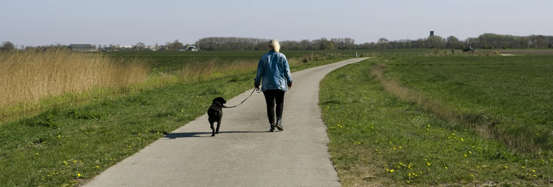 Bannerbild