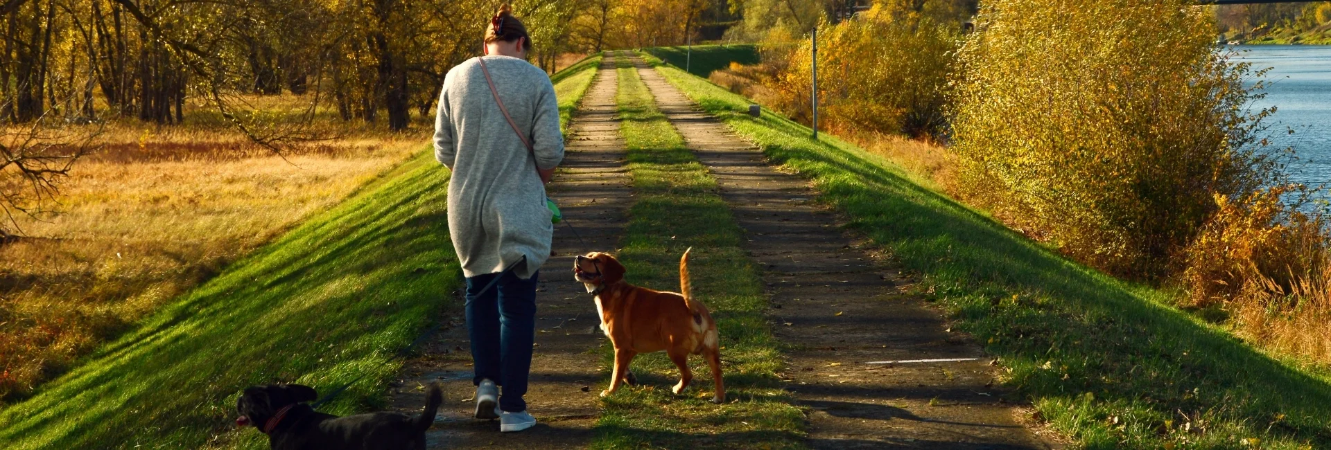 Bannerbild