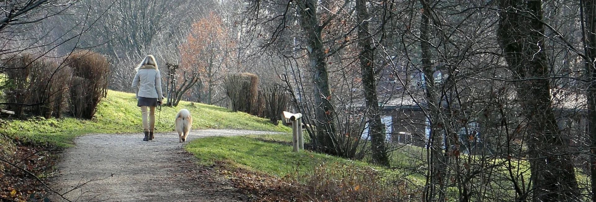 Bannerbild