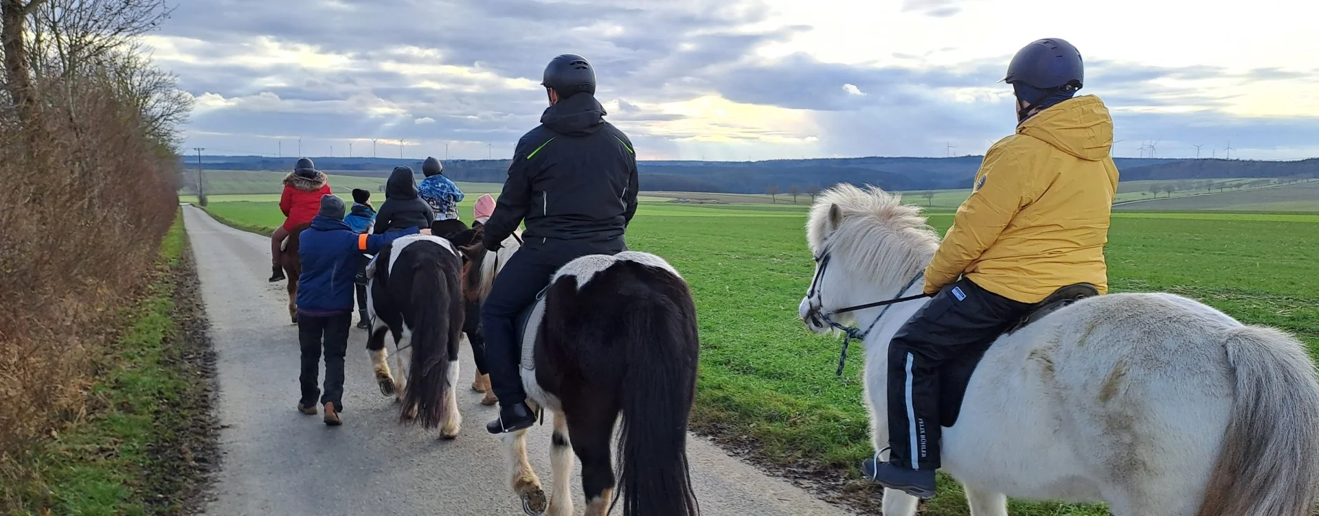 Bannerbild