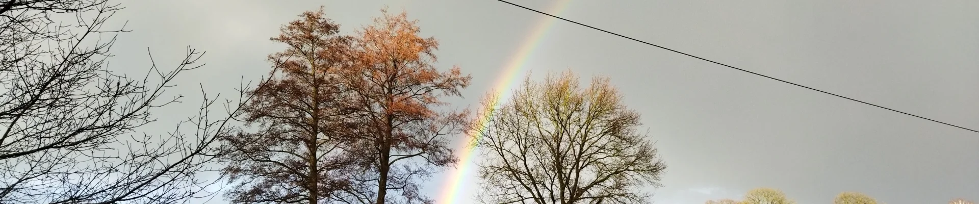 Bannerbild