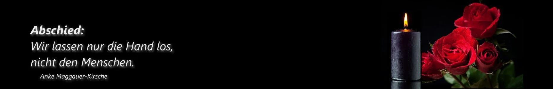 Bannerbild