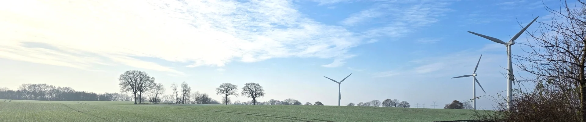 Bäume und Windkraftwerke zwischen Rehhorst und Willendorf im Winter