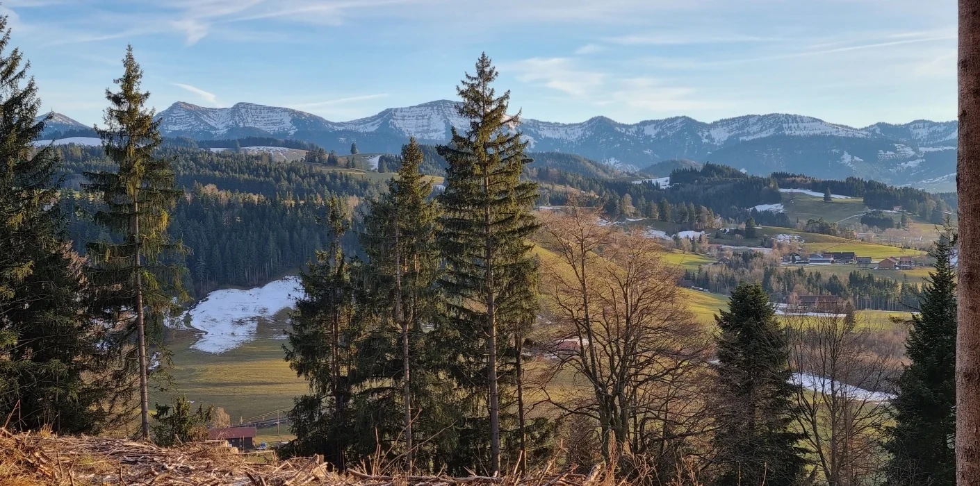 Blick vom Kapf | zur Startseite