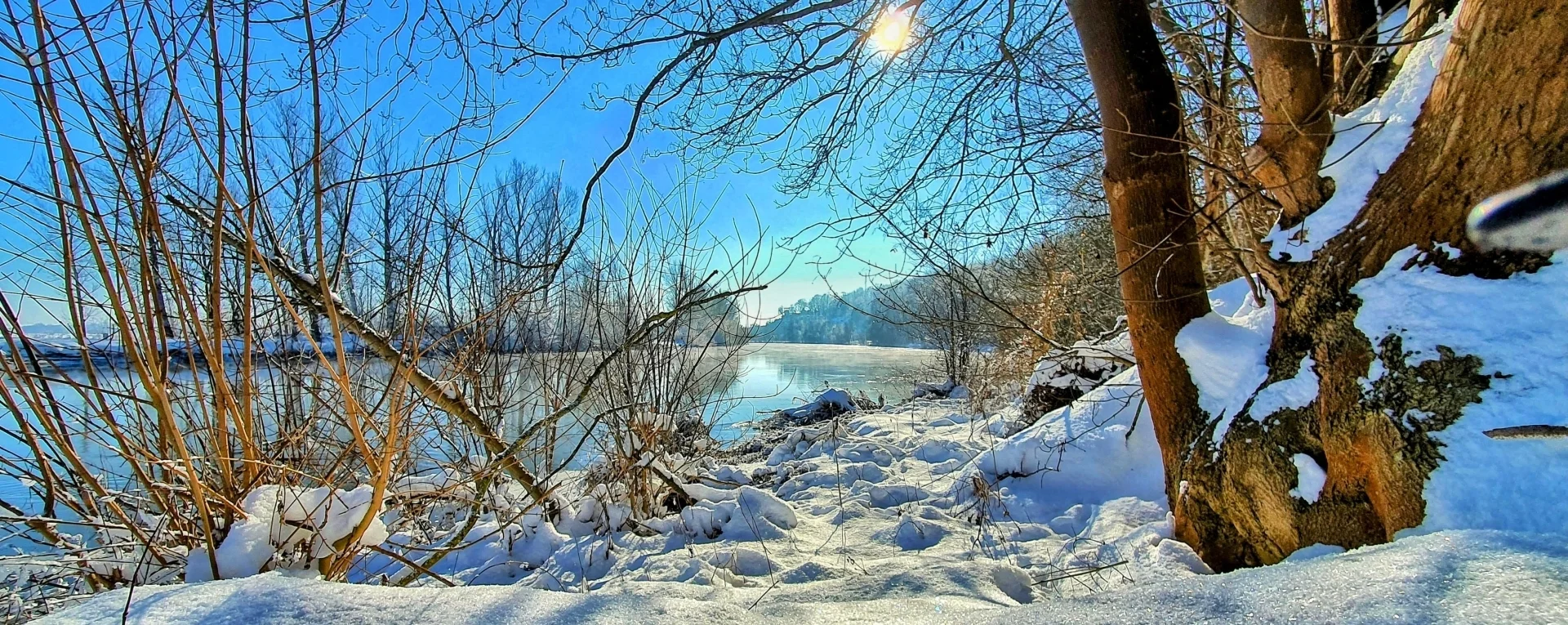 Bannerbild