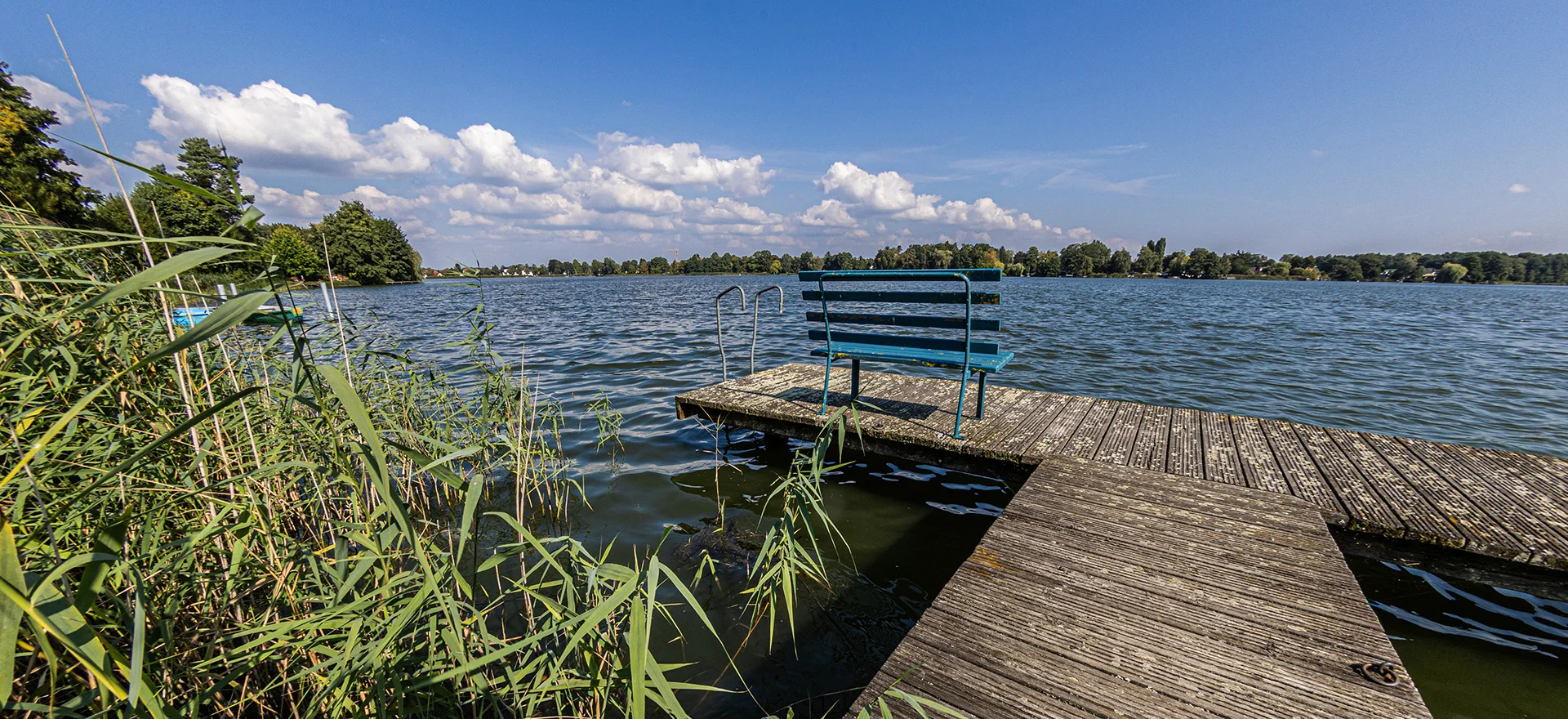 Bannerbild