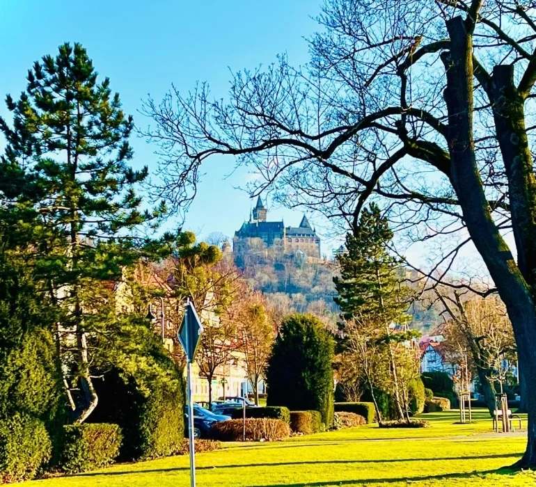 Bannerbild