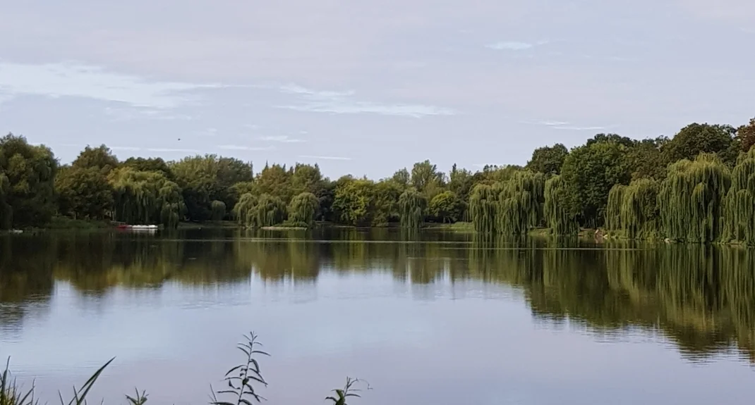 Bannerbild