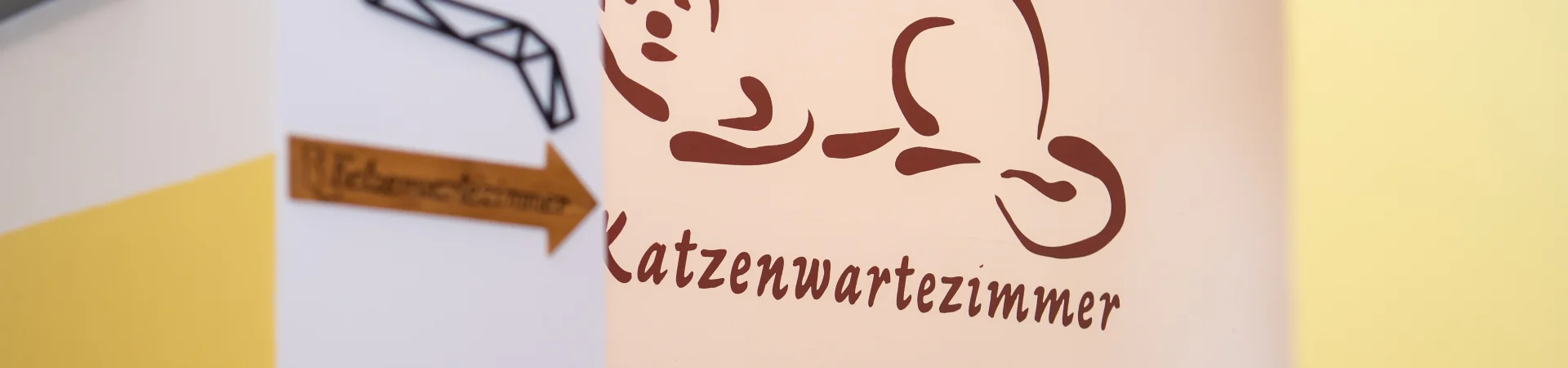 Katzenwartezimmer