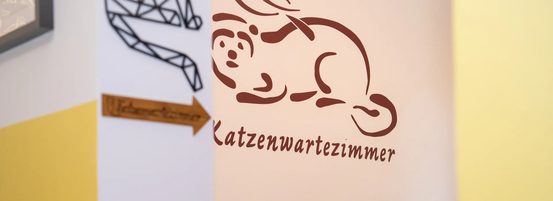 Katzenwartezimmer