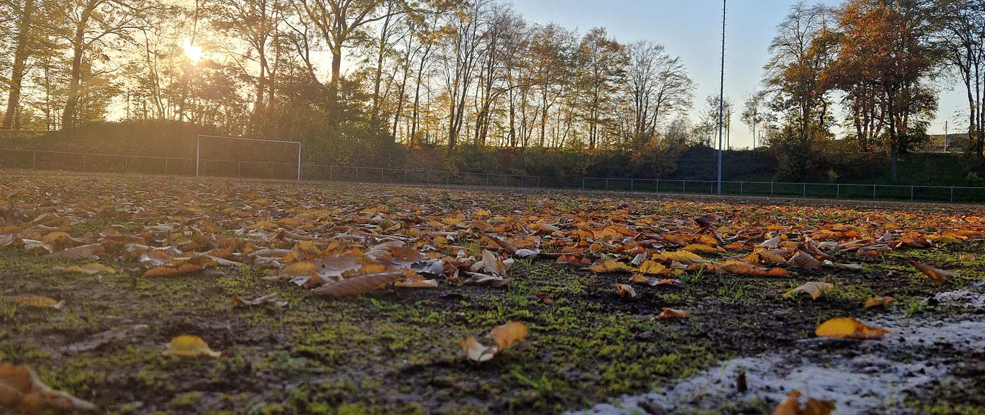 Bannerbild