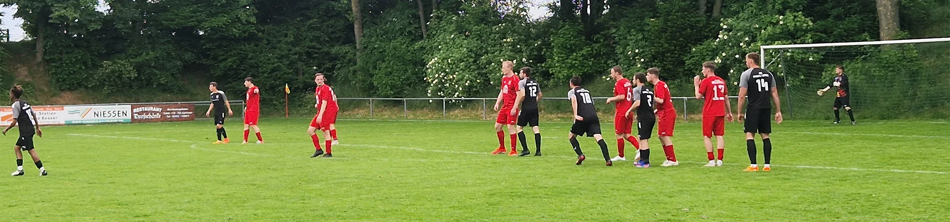 Bannerbild