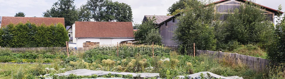 Bannerbild