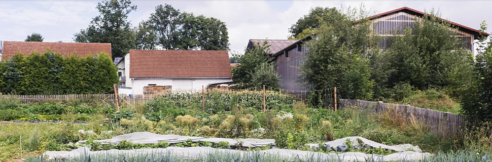 Bannerbild