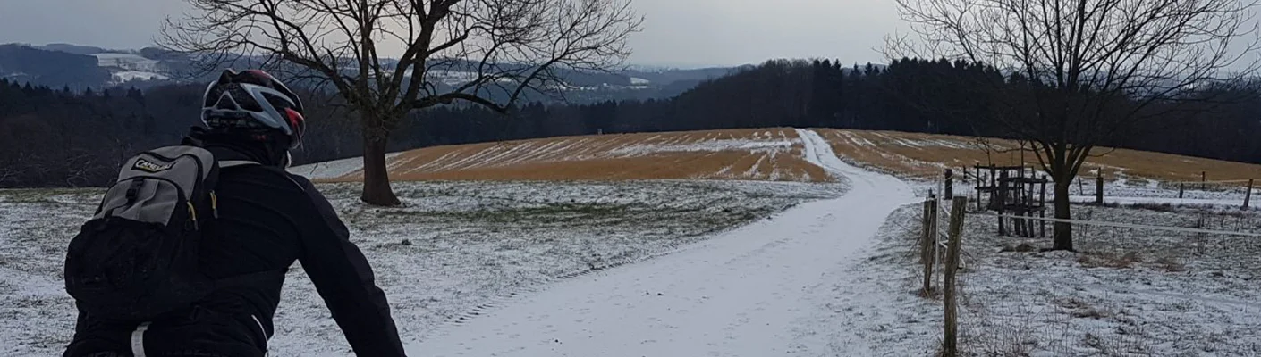 Bannerbild