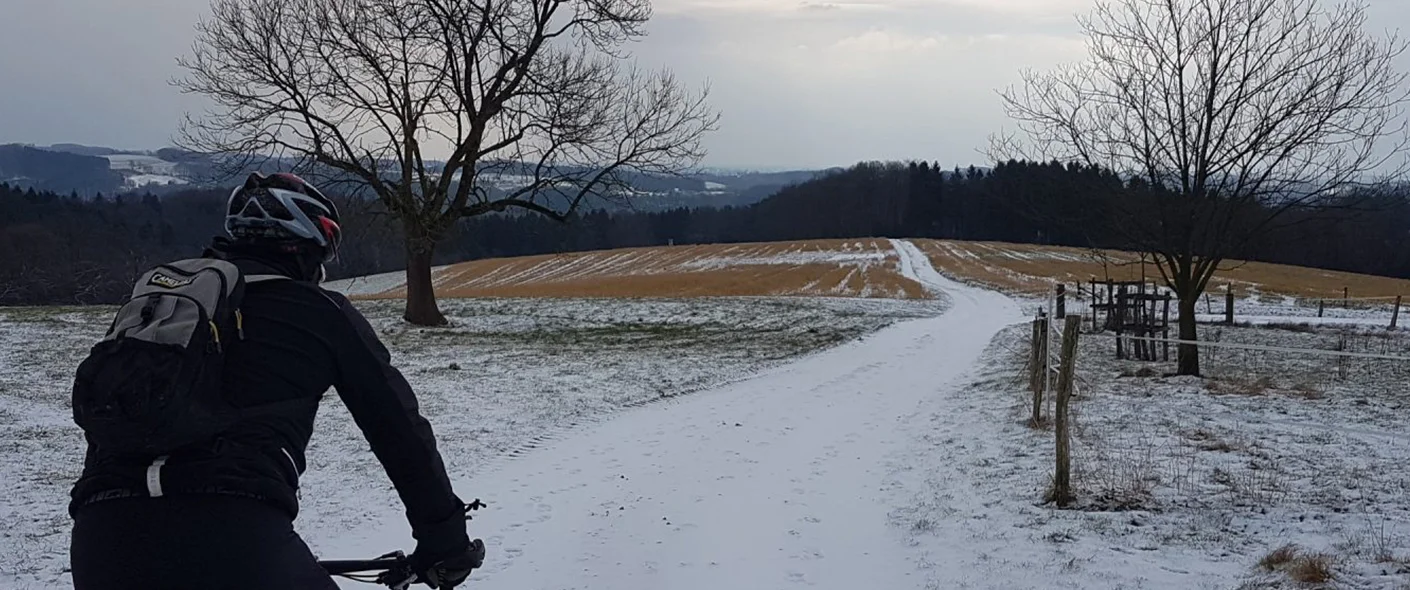 Bannerbild