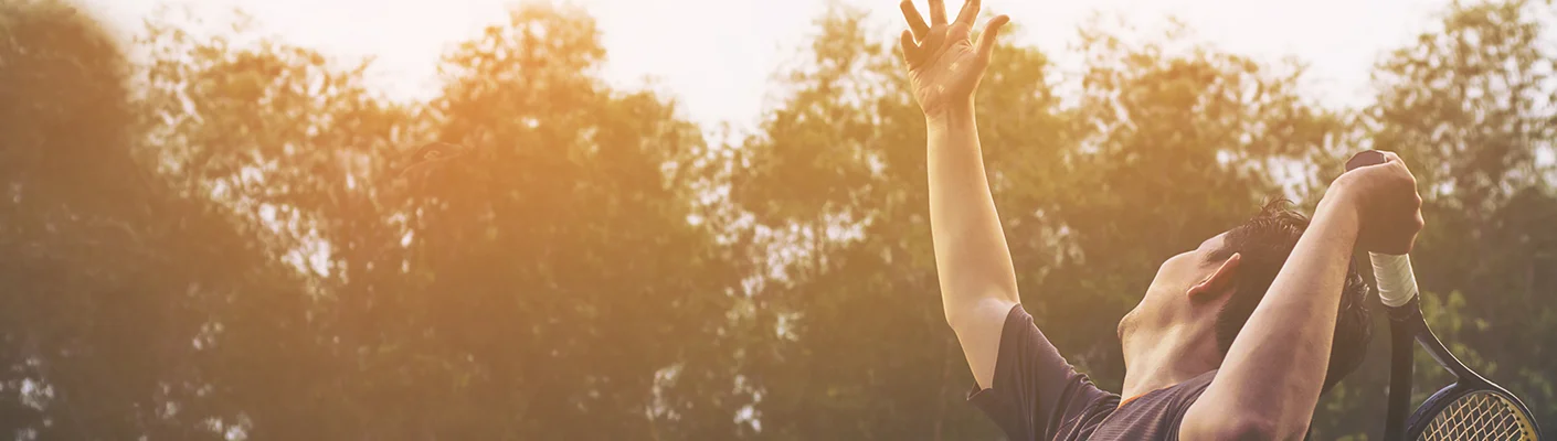 Bannerbild