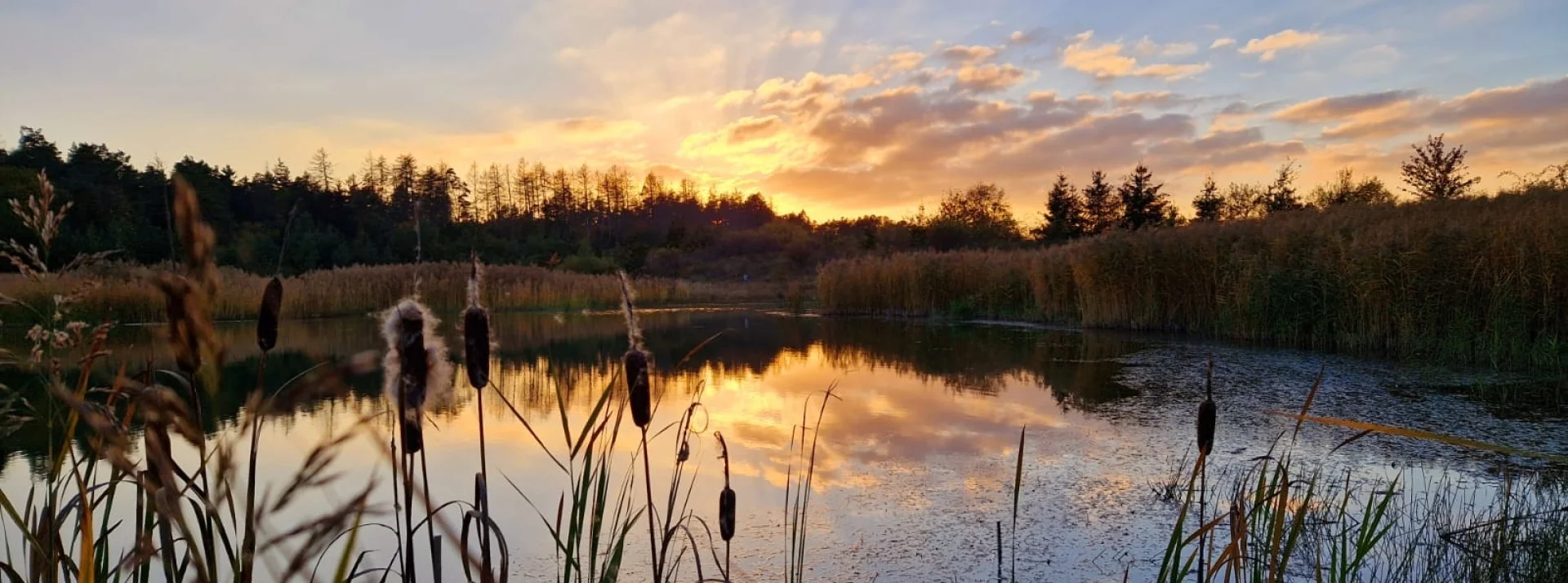Sonnenuntergang