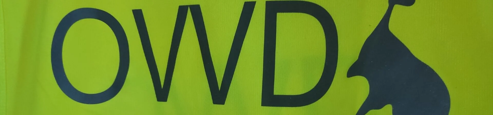 Bannerbild