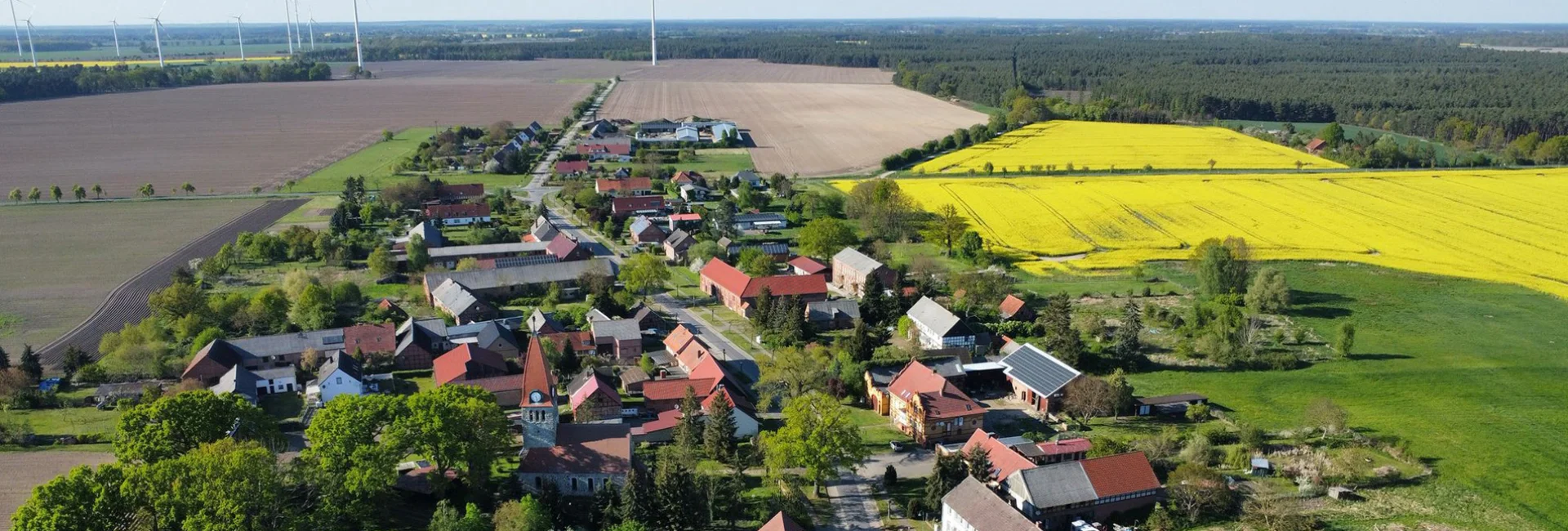 Bannerbild