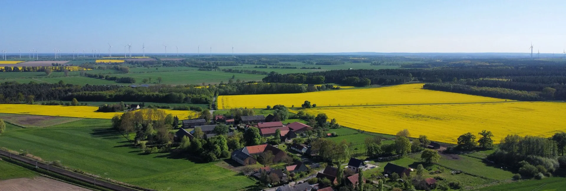 Bannerbild
