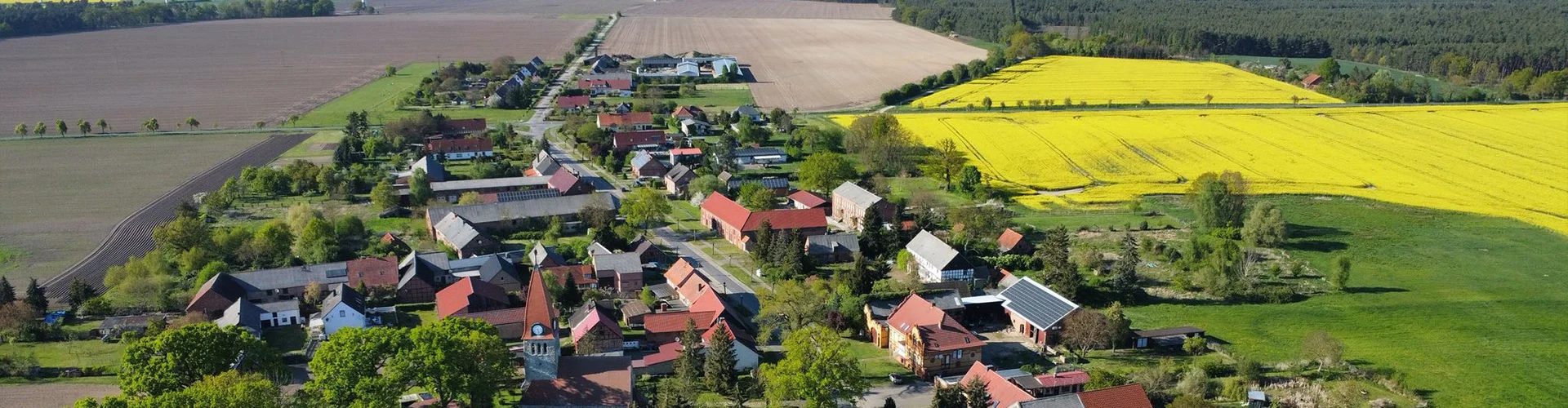 Bannerbild