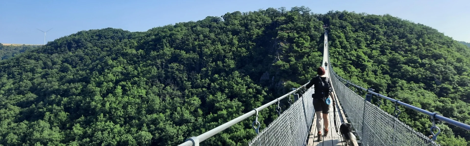 Hängeseilbrücke mit Mensch und Hund