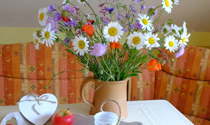 Bannerbild