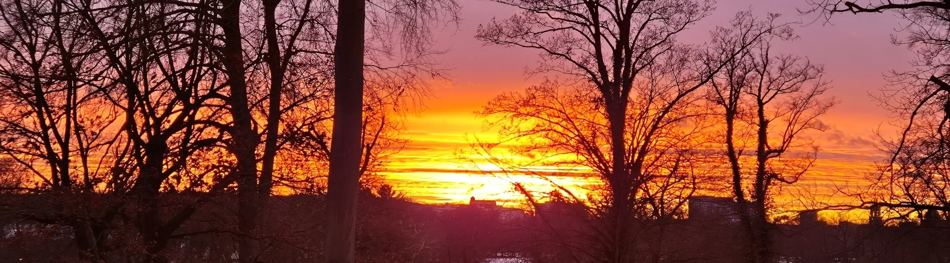 Bannerbild | zur Startseite