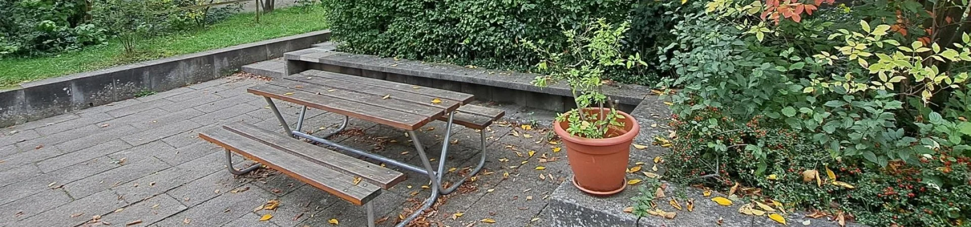 Bannerbild