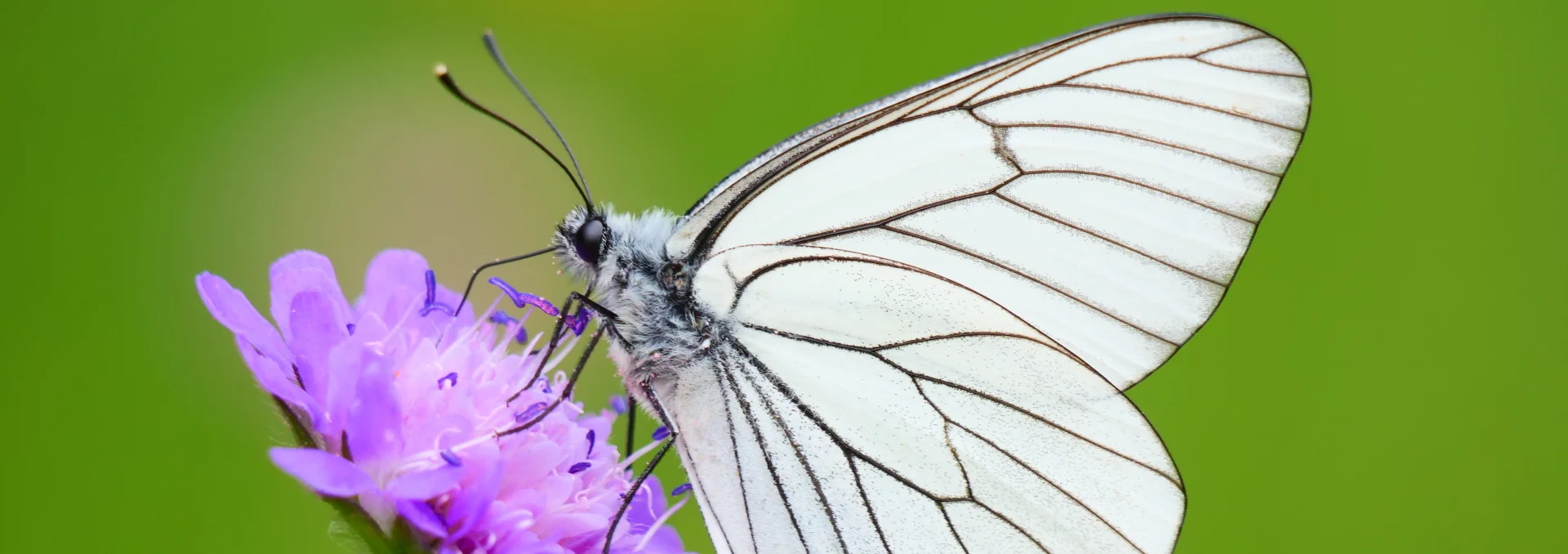 Bannerbild | zur Startseite