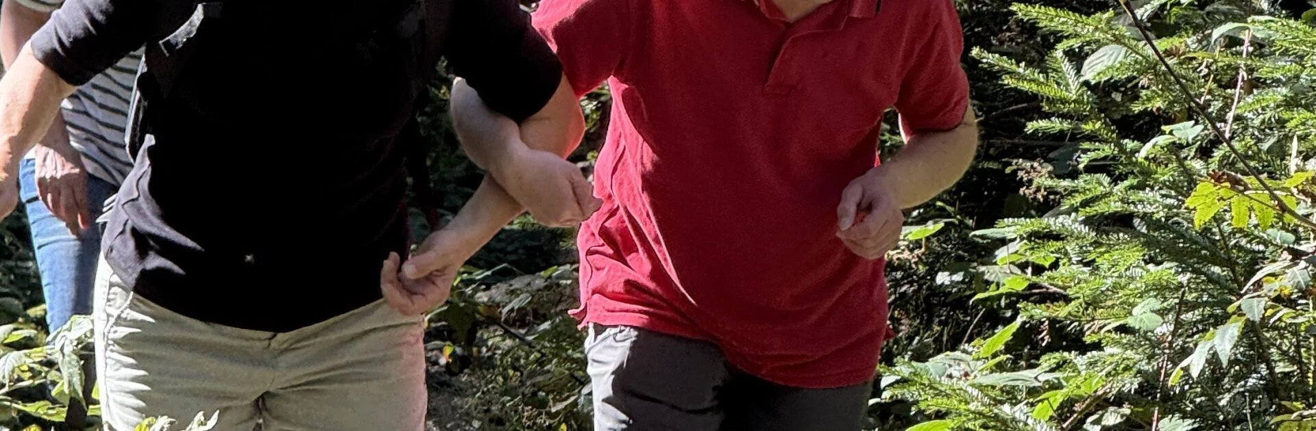 Bannerbild
