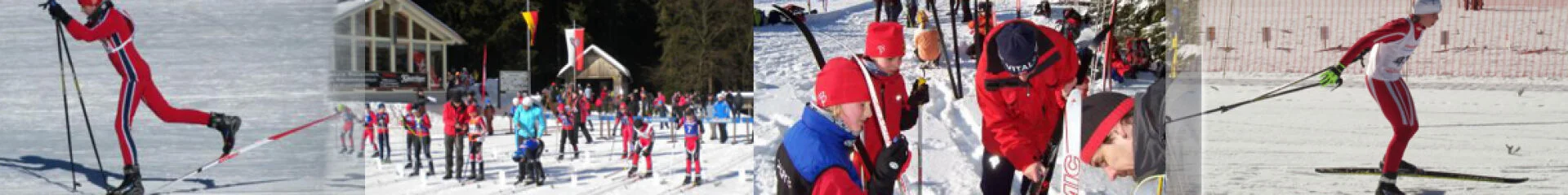 Bannerbild