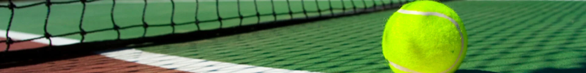 Bannerbild