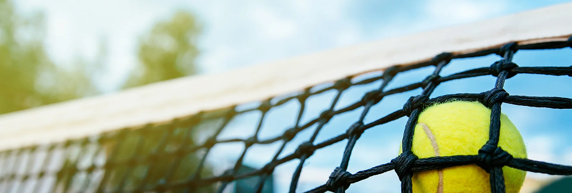 Bannerbild