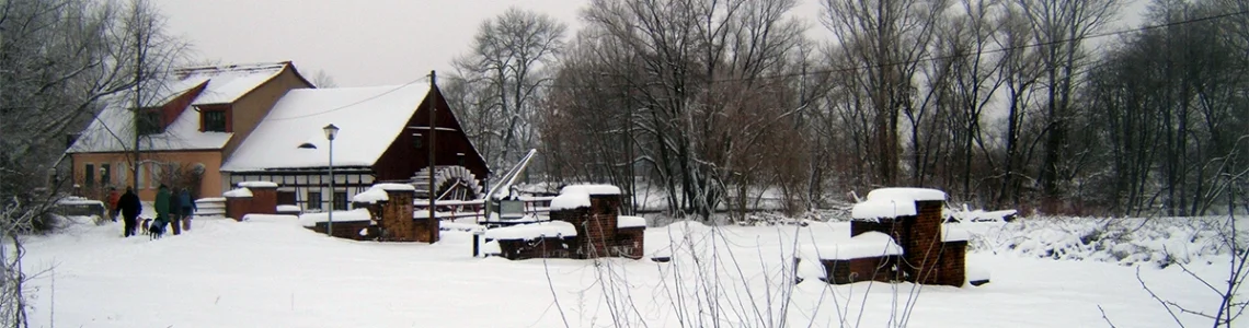 Bannerbild