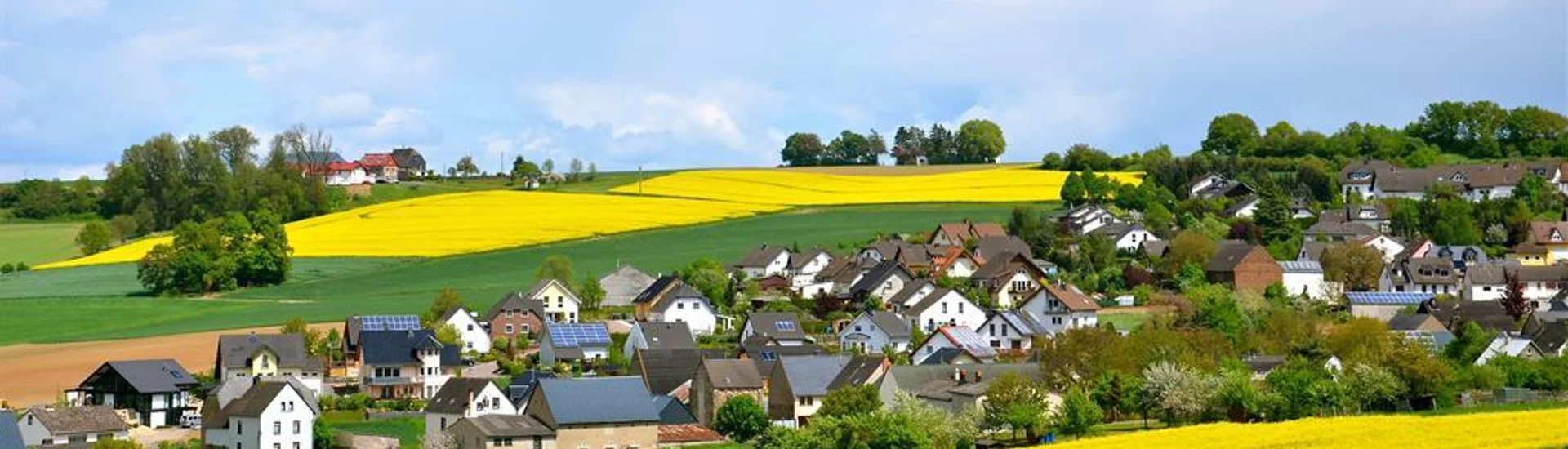 Bannerbild