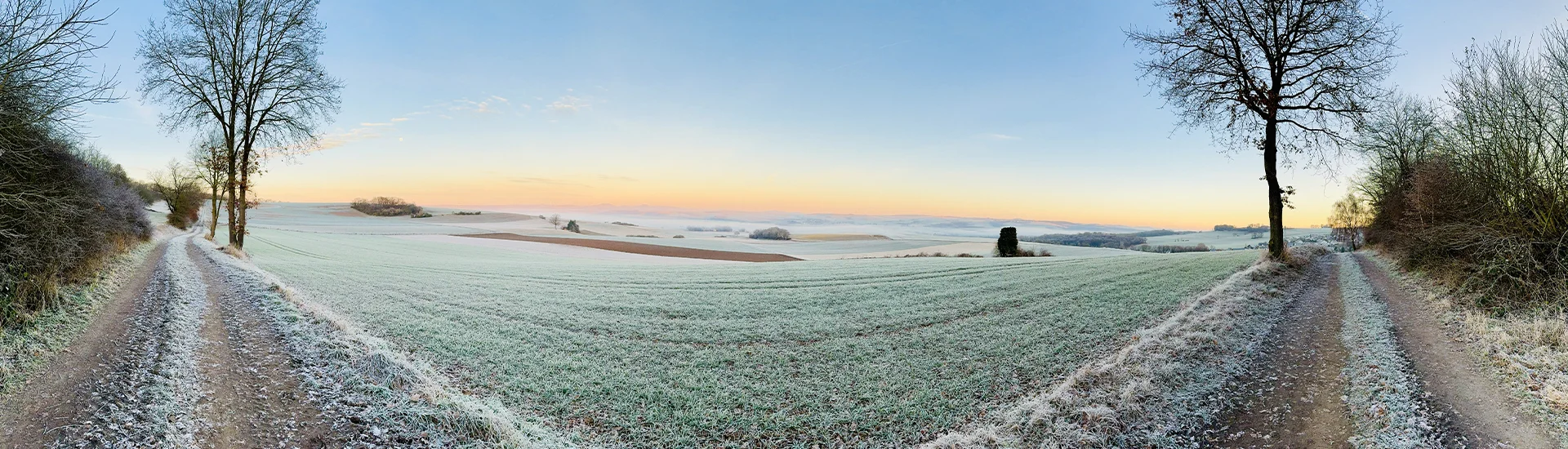 Bannerbild