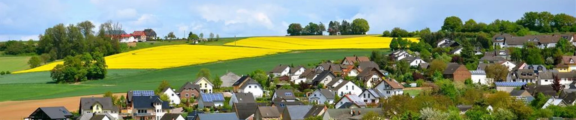 Bannerbild
