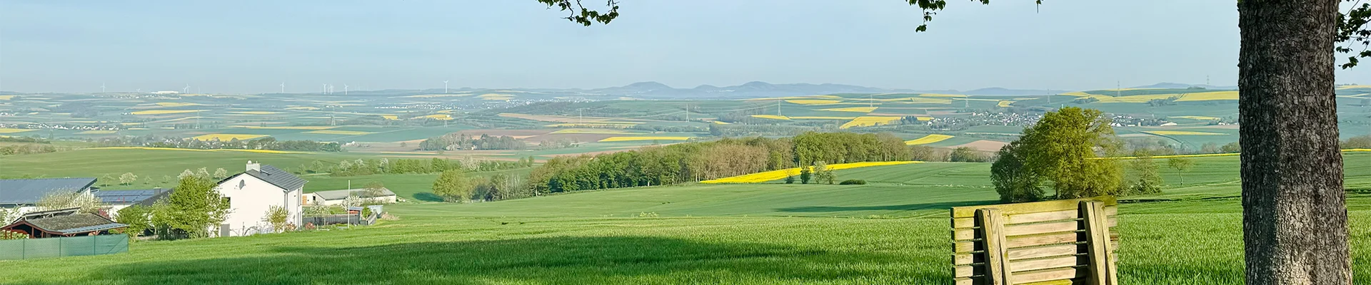 Bannerbild