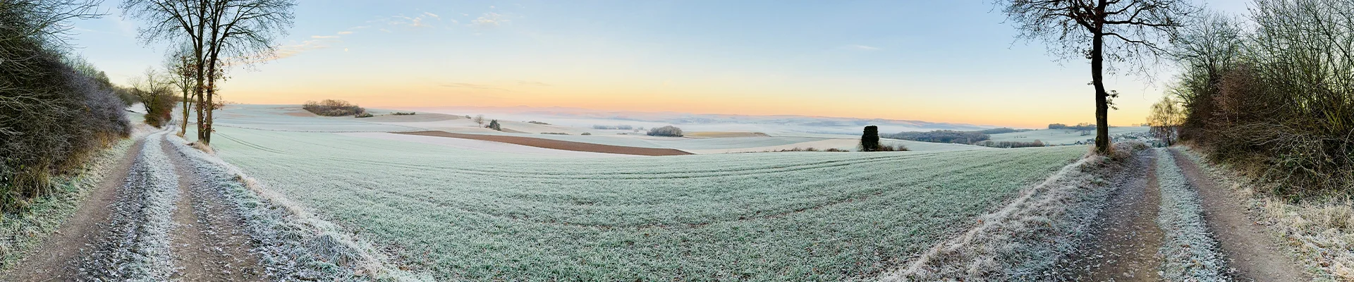 Bannerbild