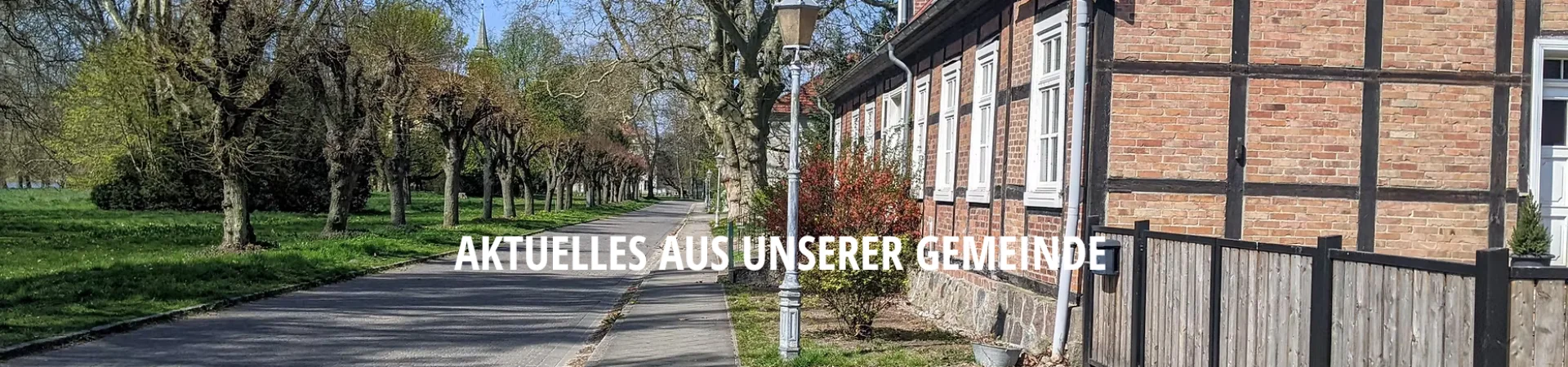 Bannerbild