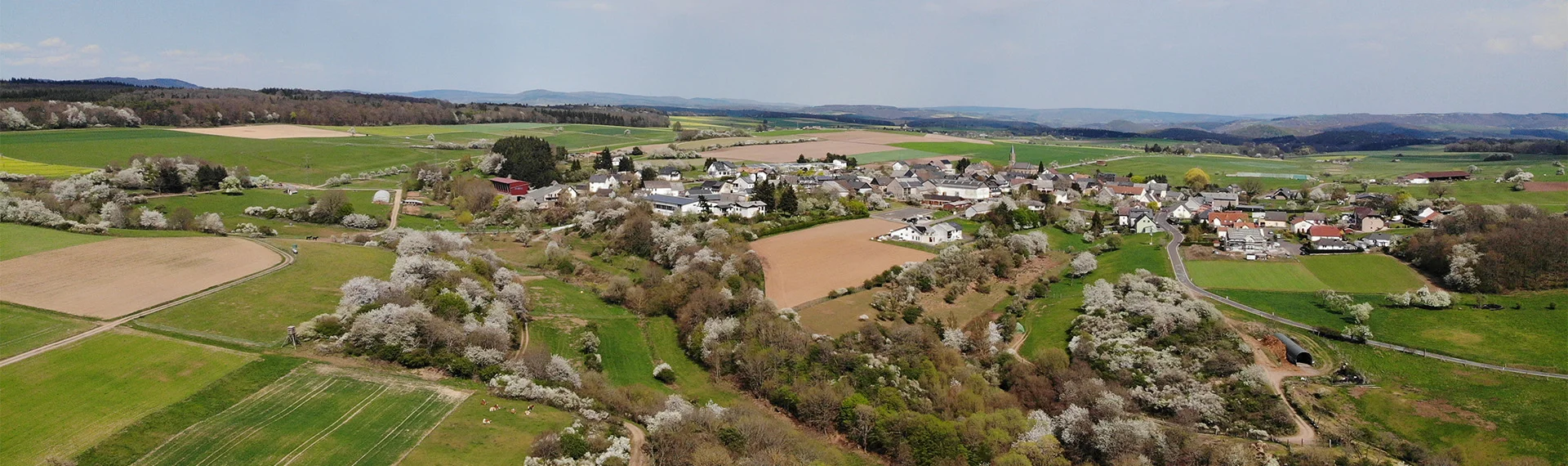 Bannerbild