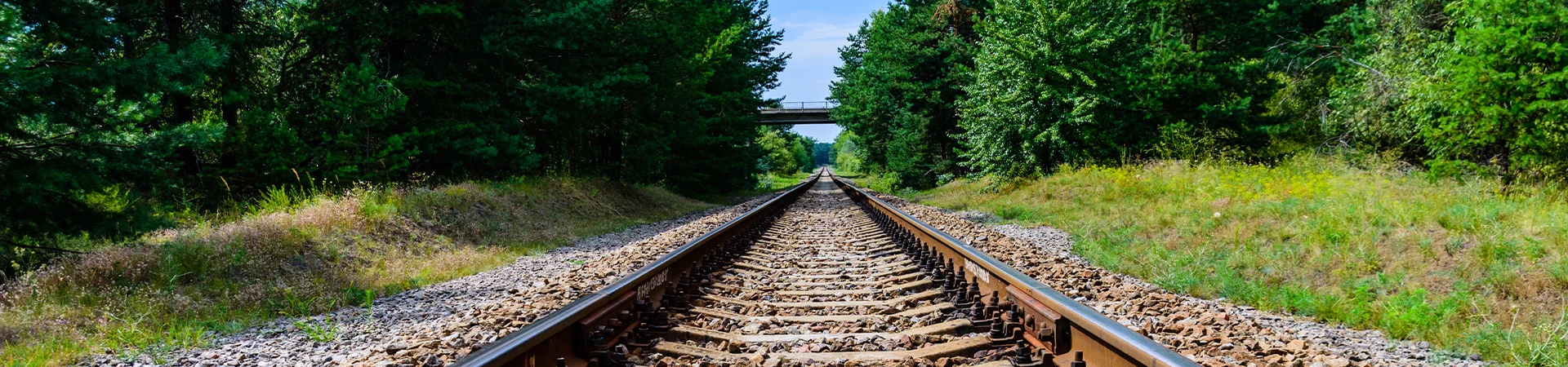Bannerbild